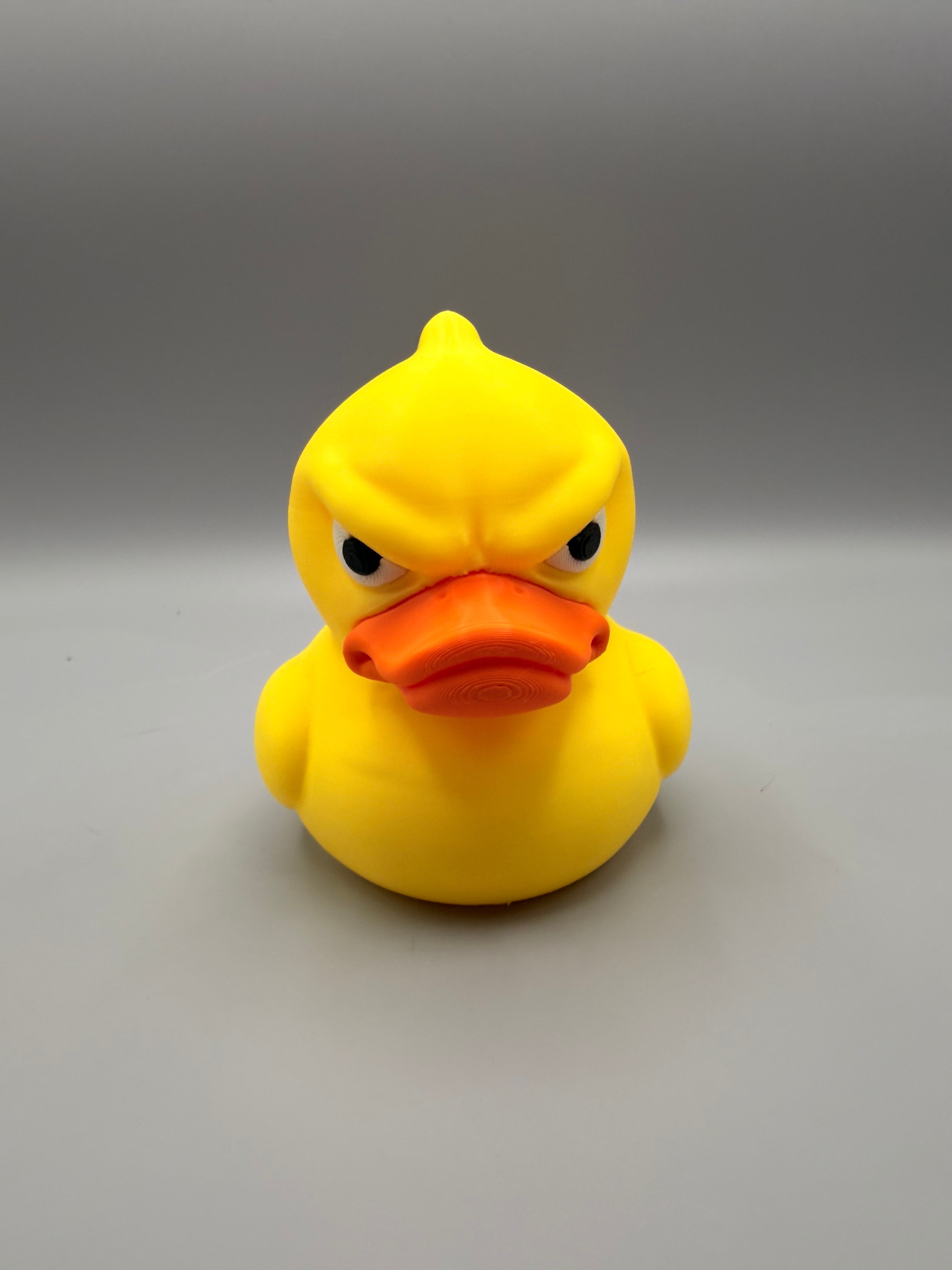 Grumpy Animals – Grumpy Ducky