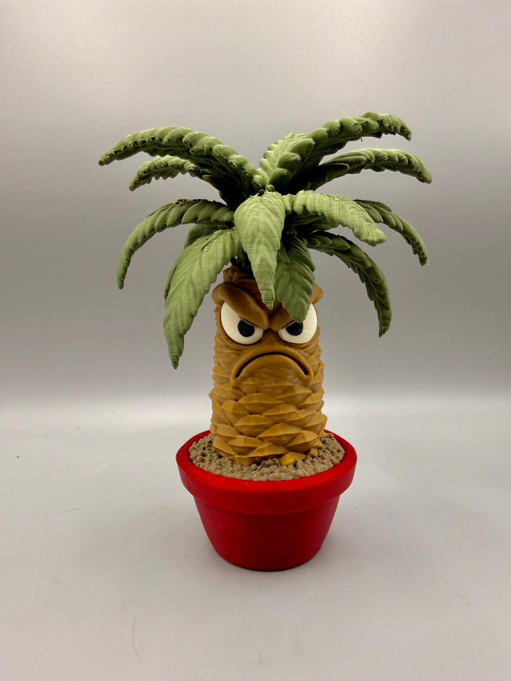 Palm – Grumpy Plants Collection
