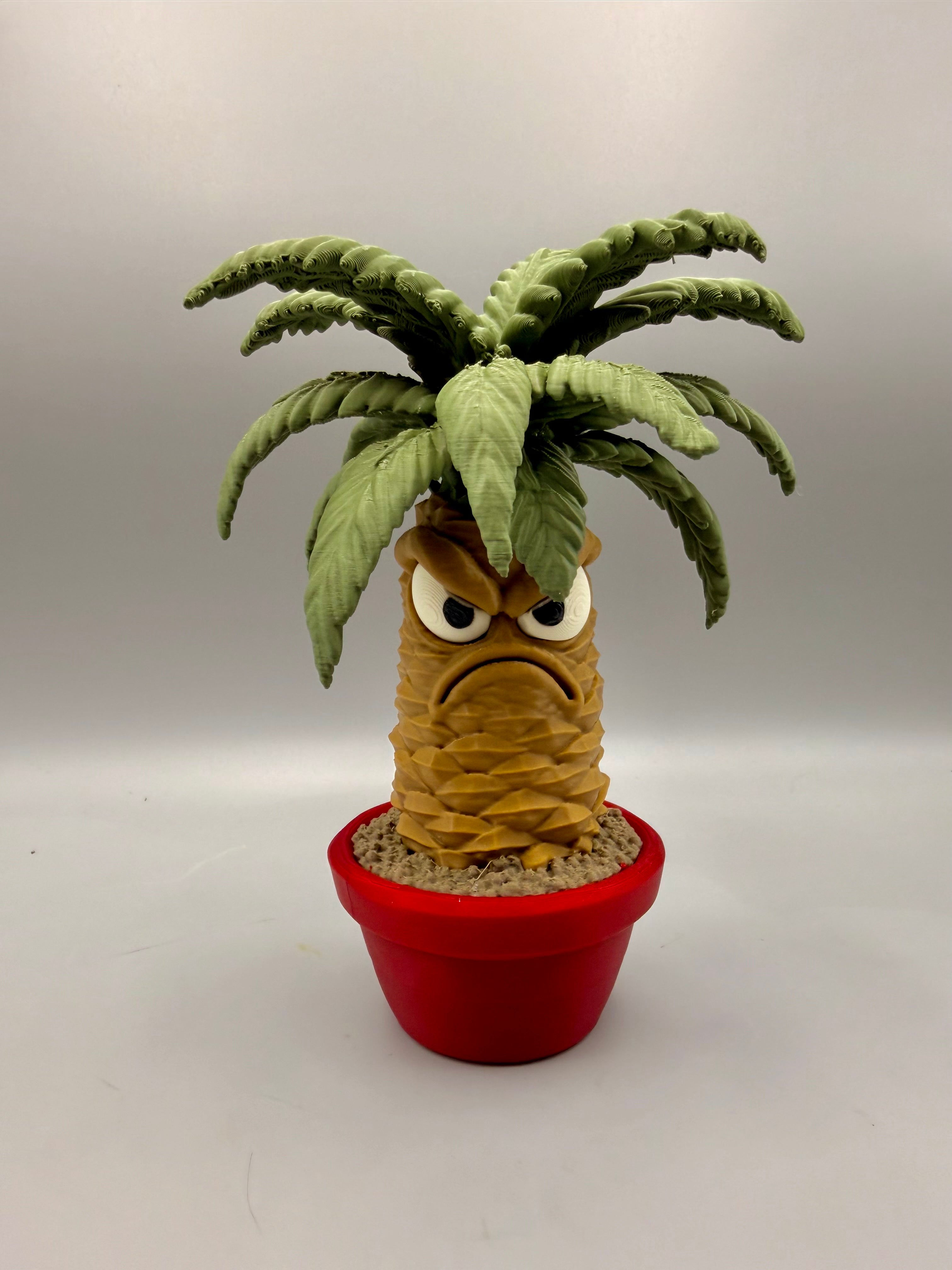 Palm – Grumpy Plants Collection