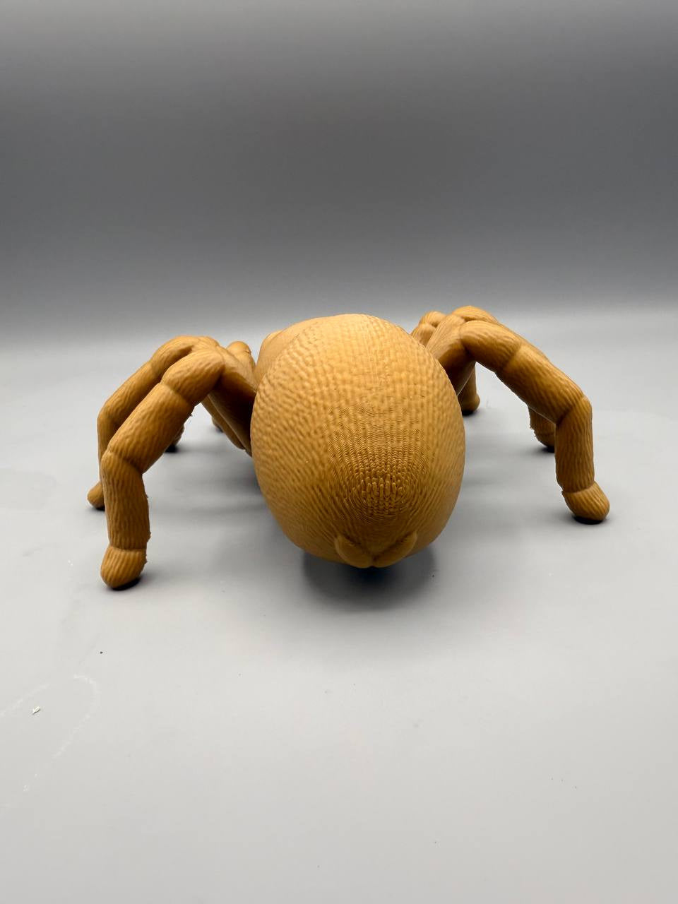 Grumpy Animals – Tarantula