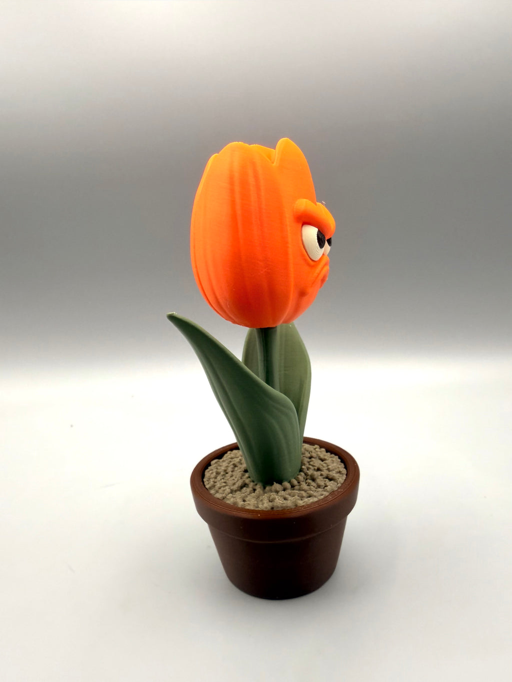 Tulip – Grumpy Plants Collection