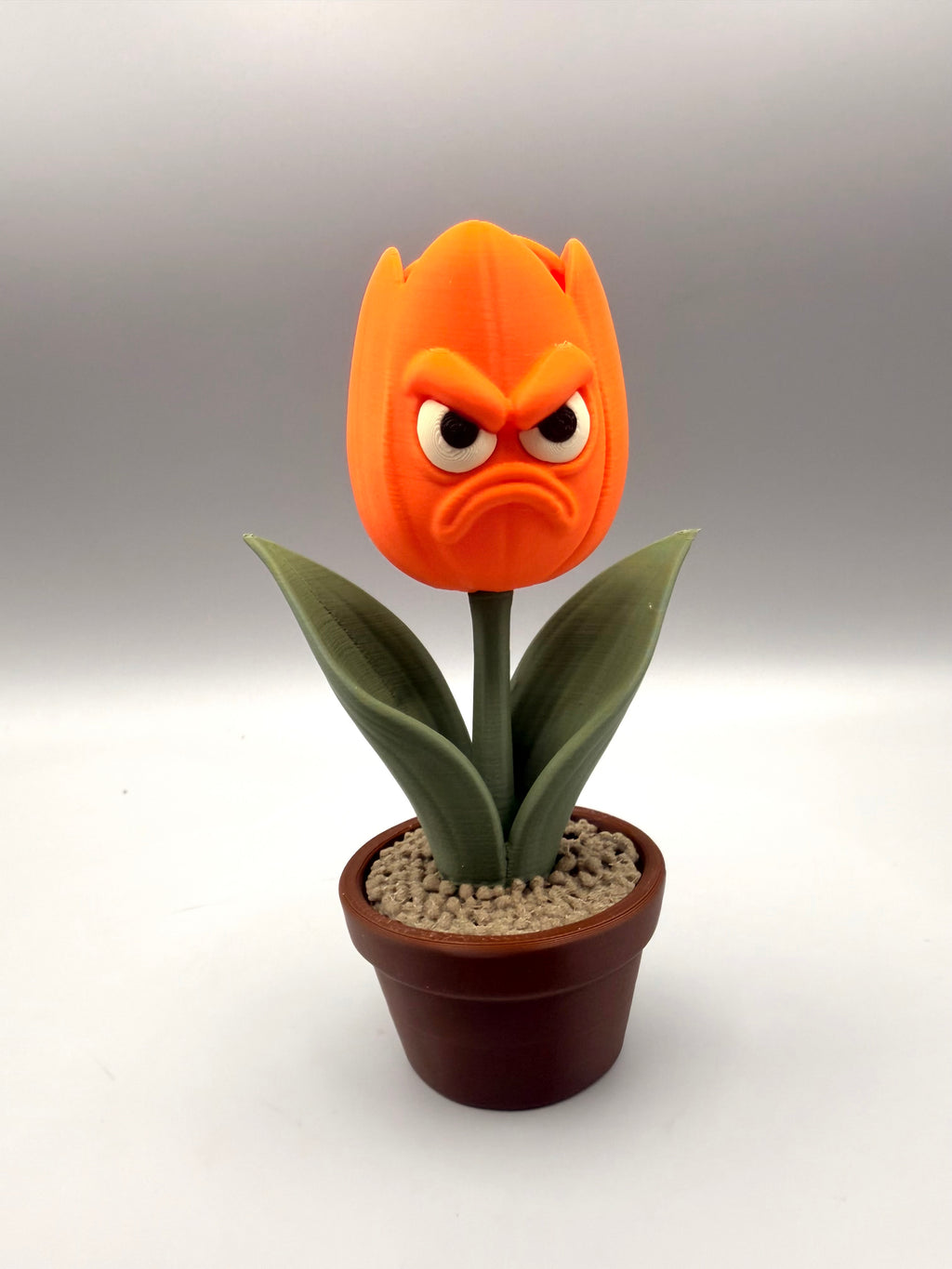 Tulip – Grumpy Plants Collection