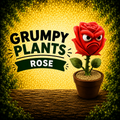 Grumpy Plants – Grumpy Rose