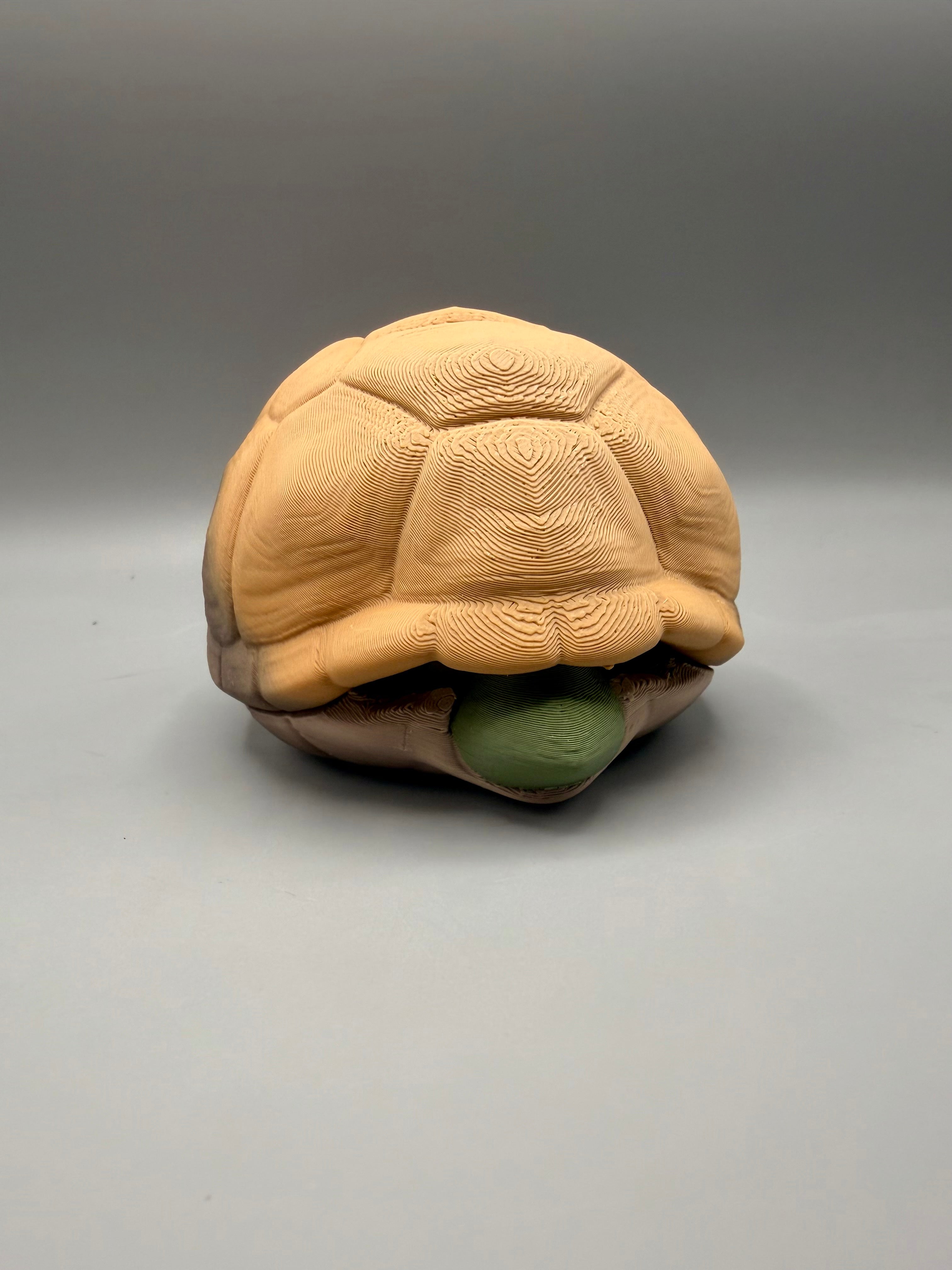 Shy Turtle – Grumpy Animals Collection