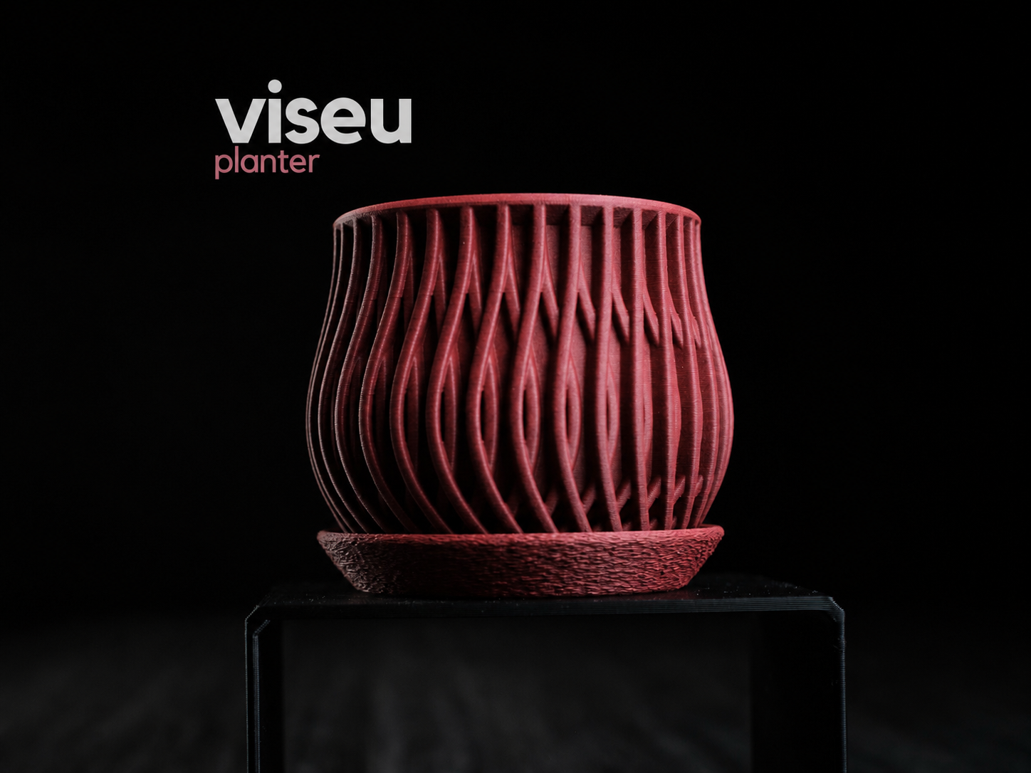 Viseu • Planter