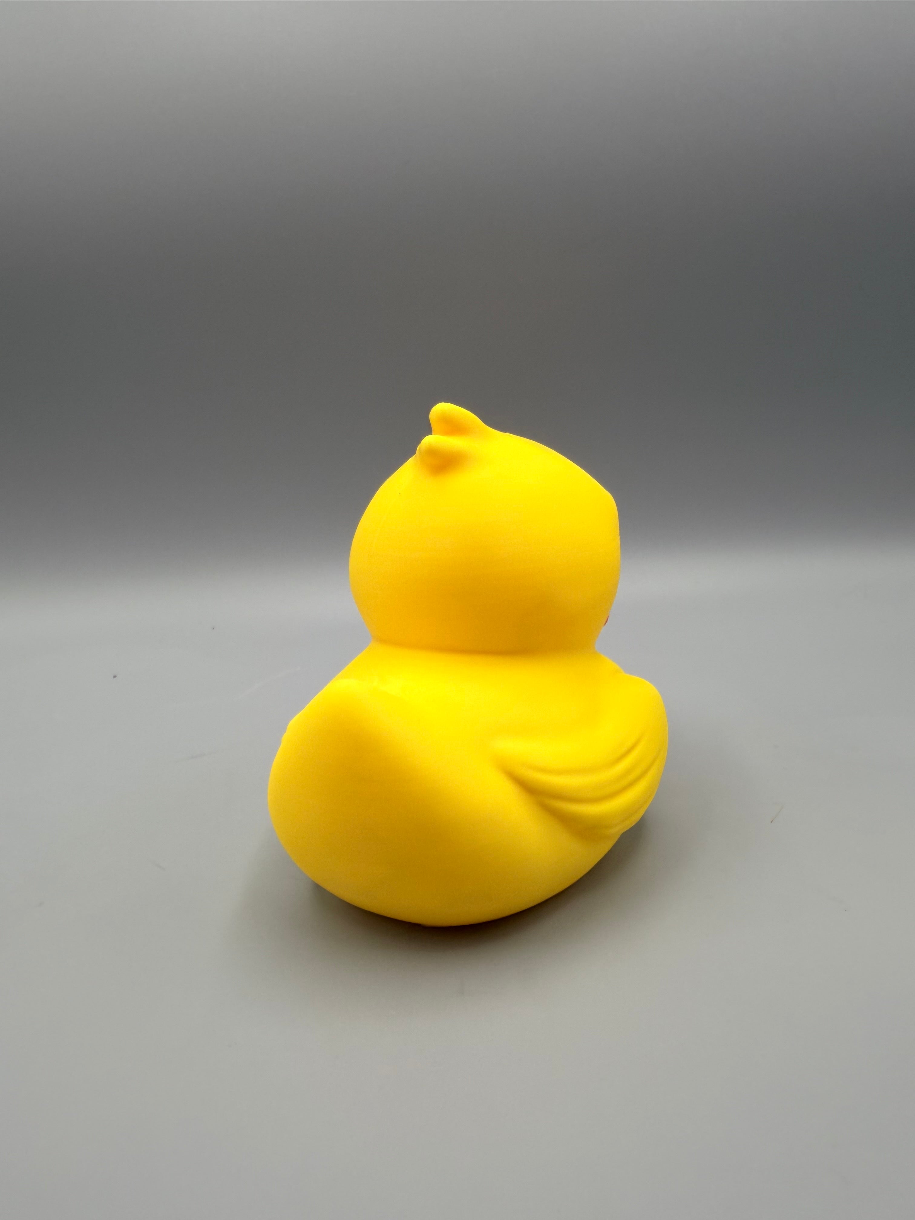 Grumpy Animals – Grumpy Ducky