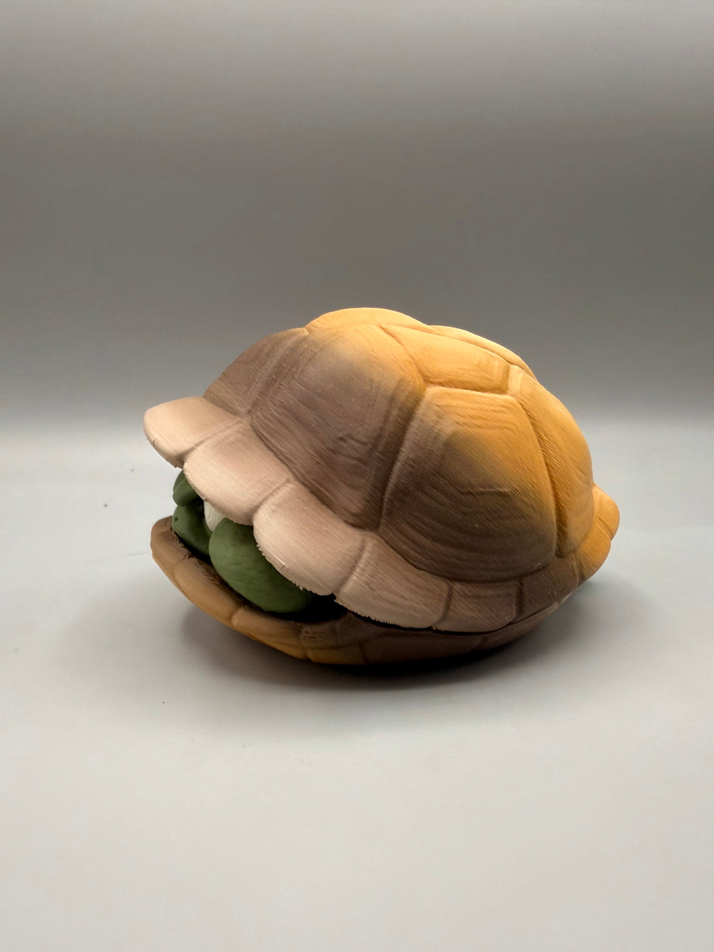 Shy Turtle – Grumpy Animals Collection