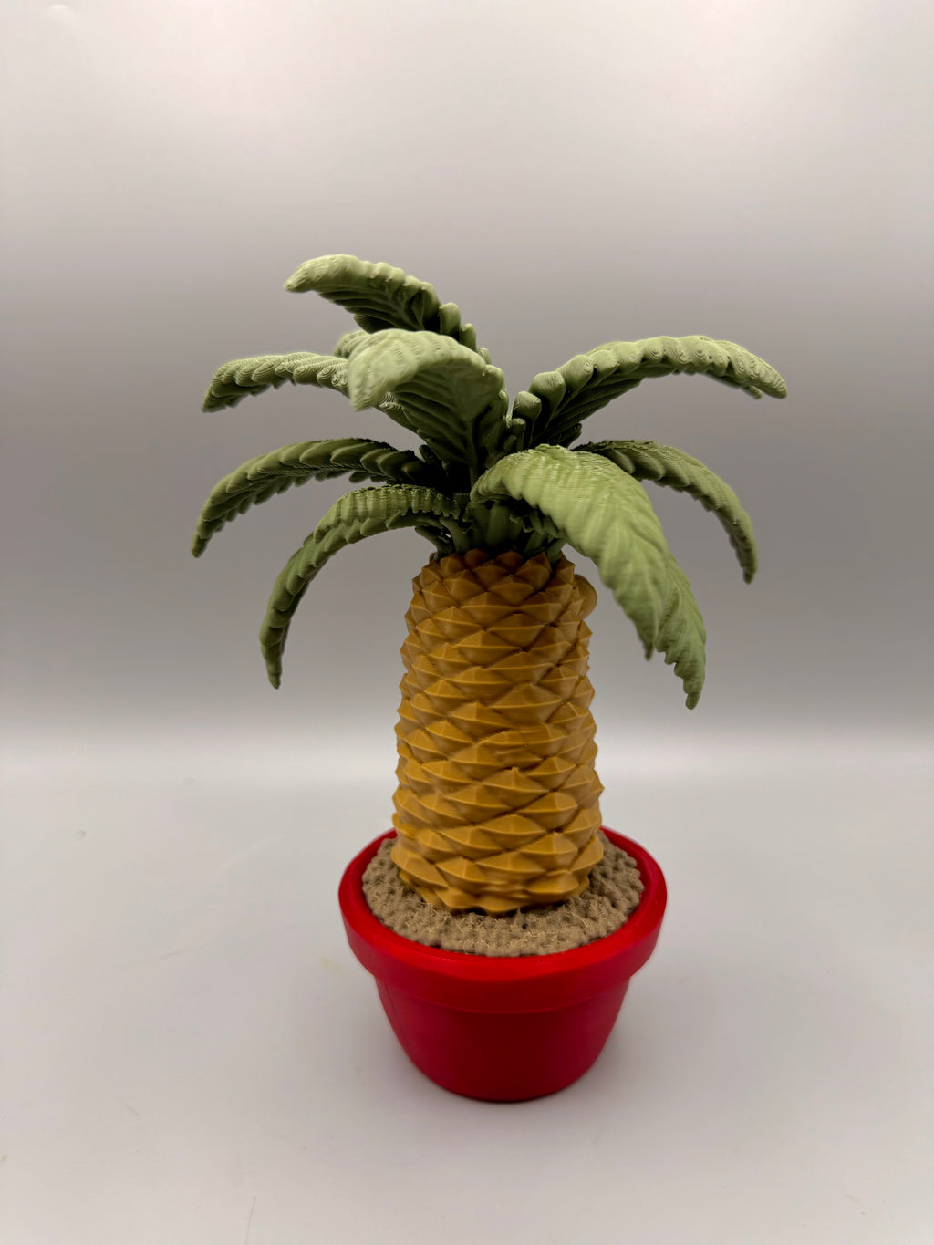Palm – Grumpy Plants Collection