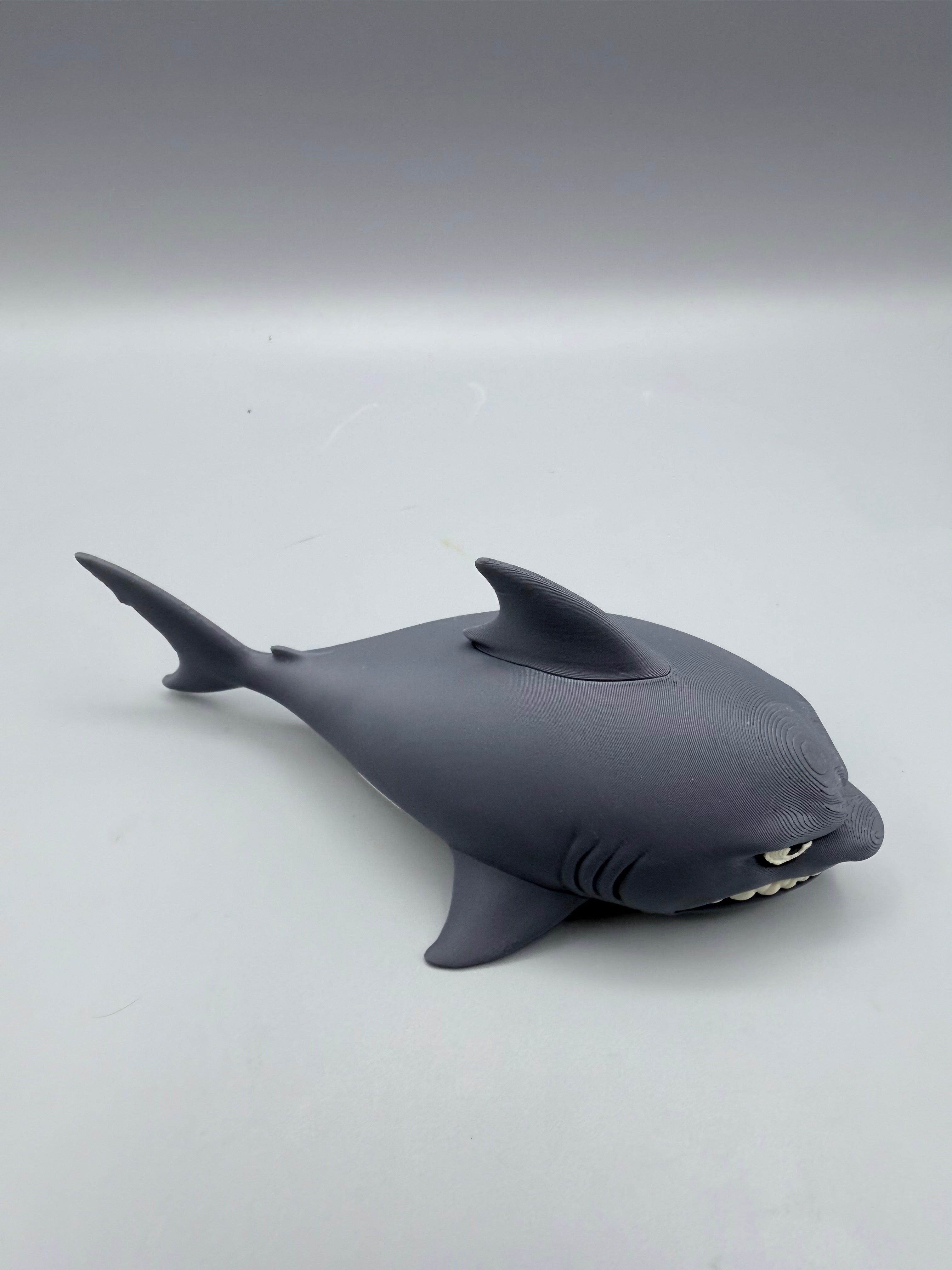 Grumpy Animals – Grumpy Shark