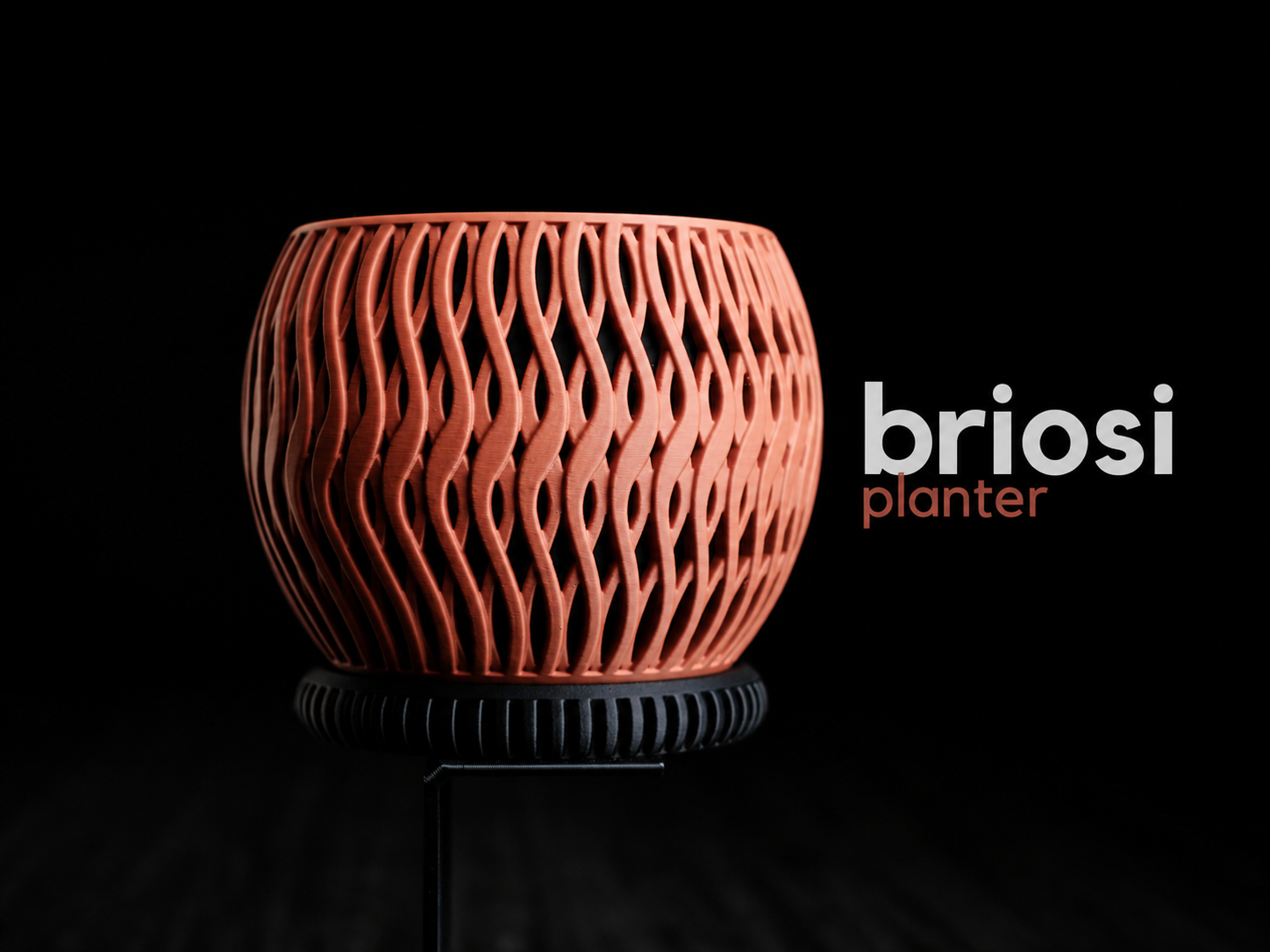 Briosi • Planter