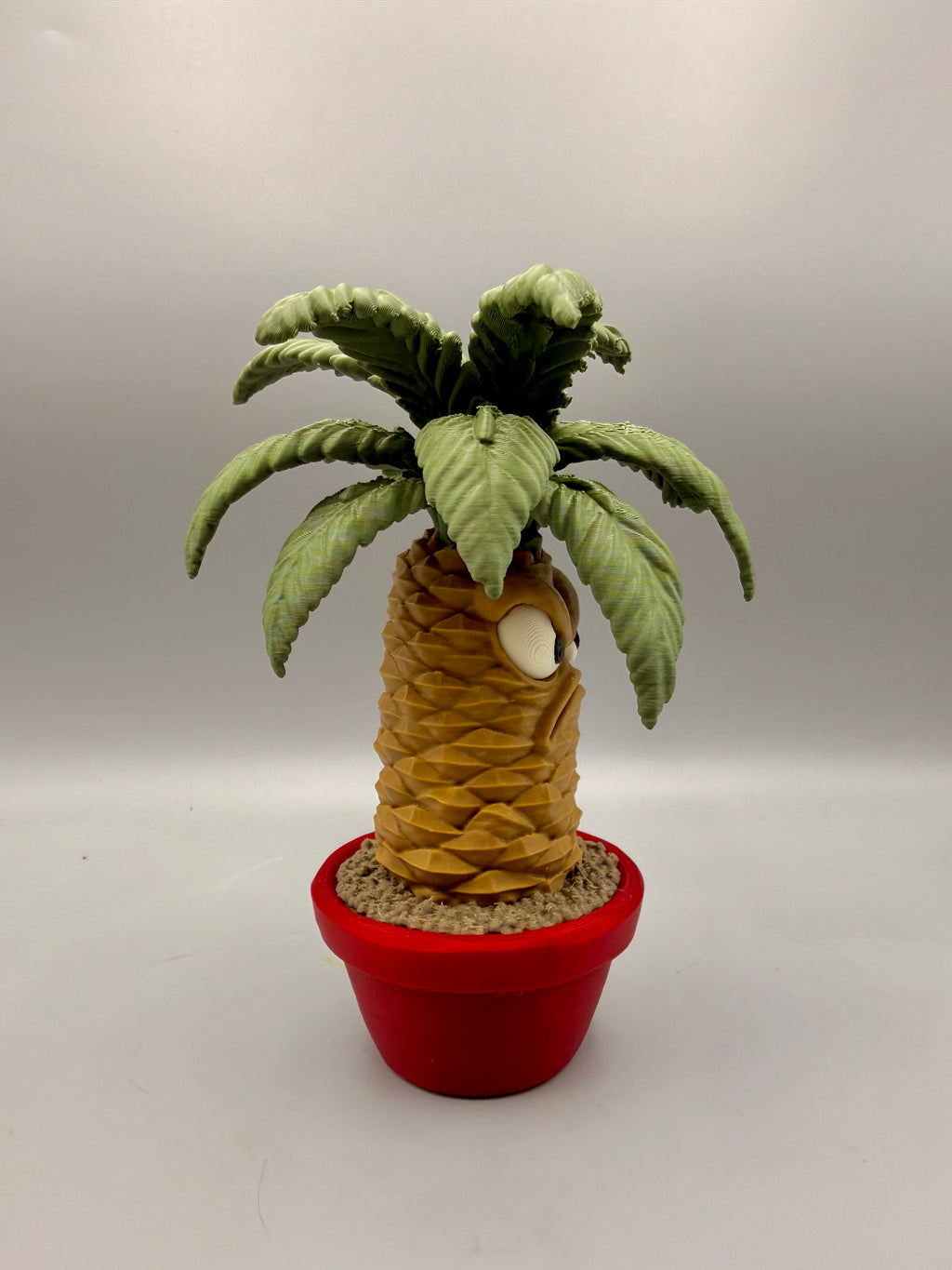 Palm – Grumpy Plants Collection