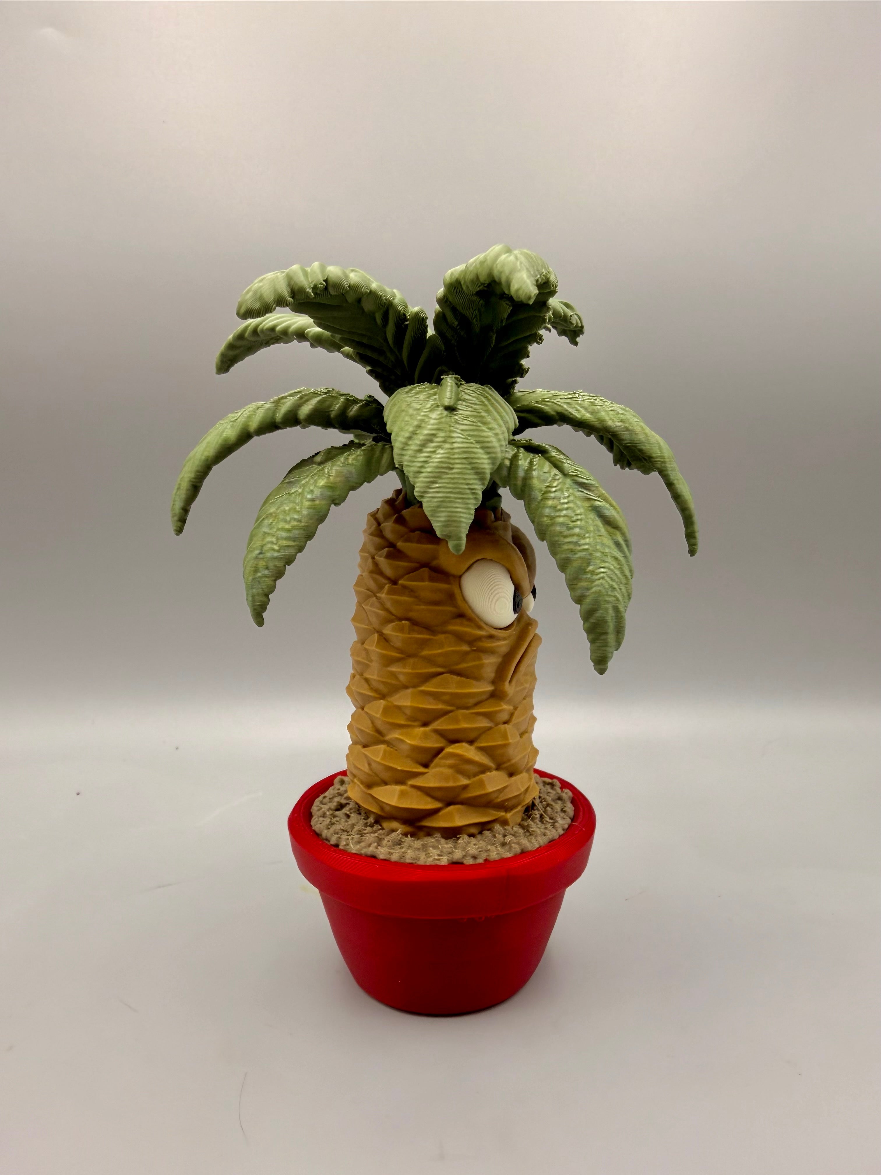 Palm – Grumpy Plants Collection