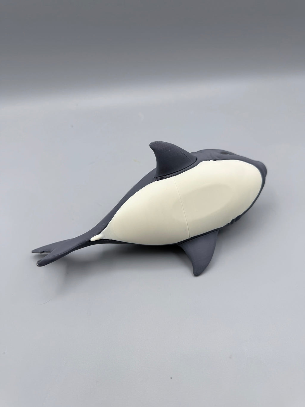 Grumpy Animals – Grumpy Shark