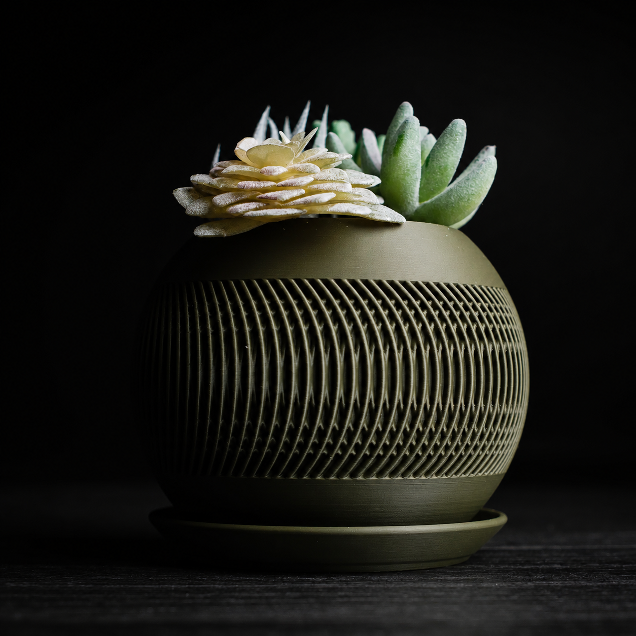 Solis · Planter