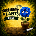 Loving Rose – Grumpy Plants Collection