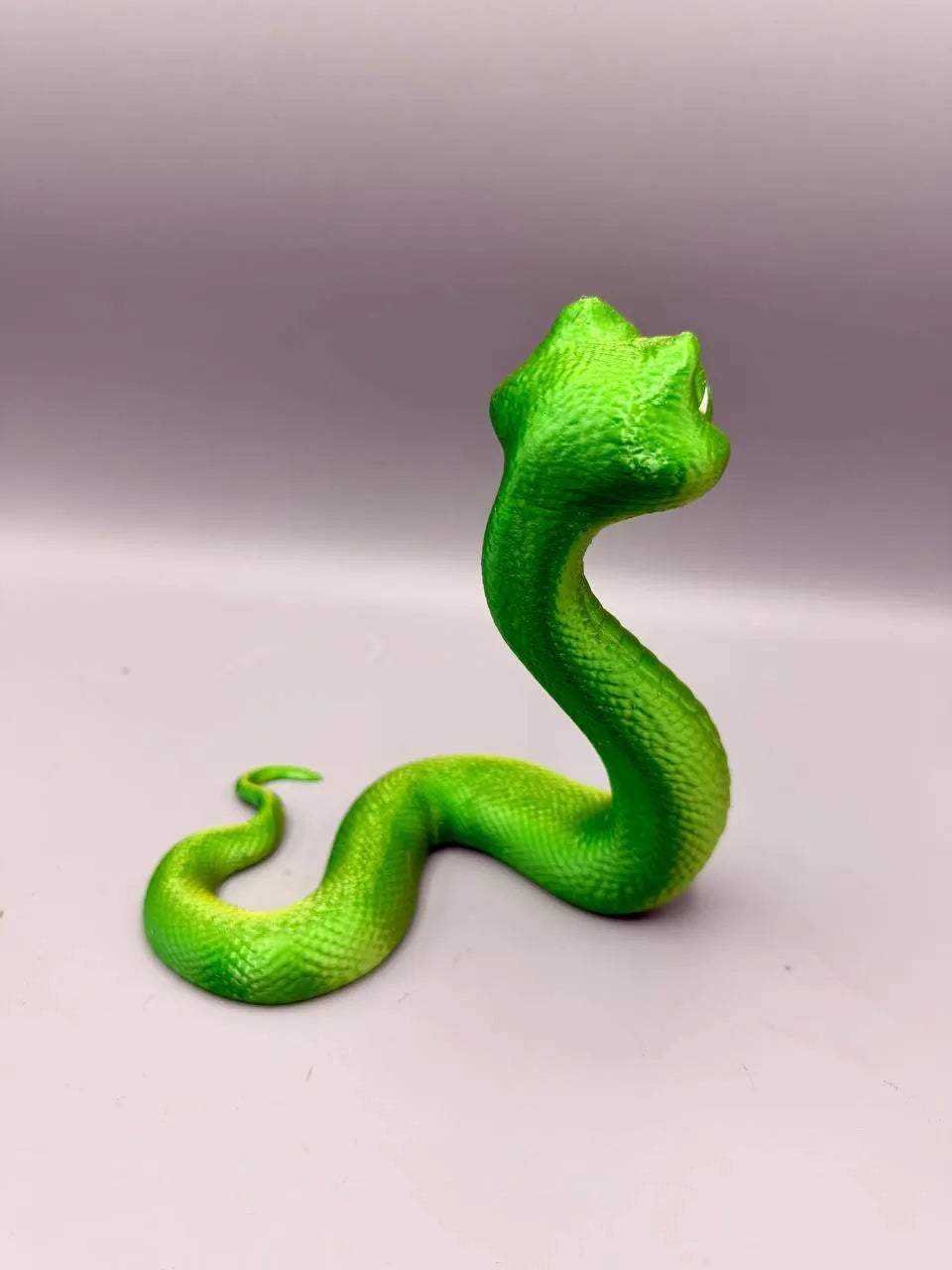 Grumpy Animals – Snake