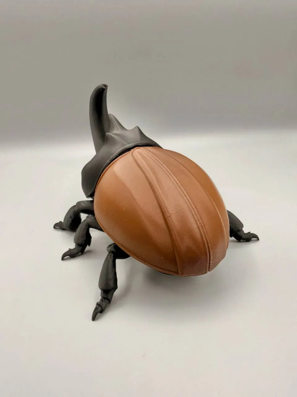 Grumpy Animals – Rhinoceros Beetle
