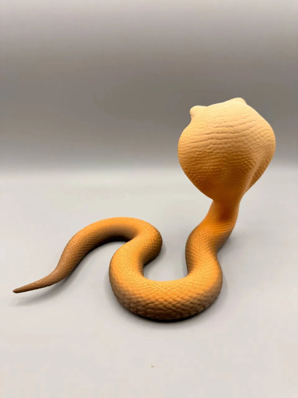 Grumpy Animals – Cobra