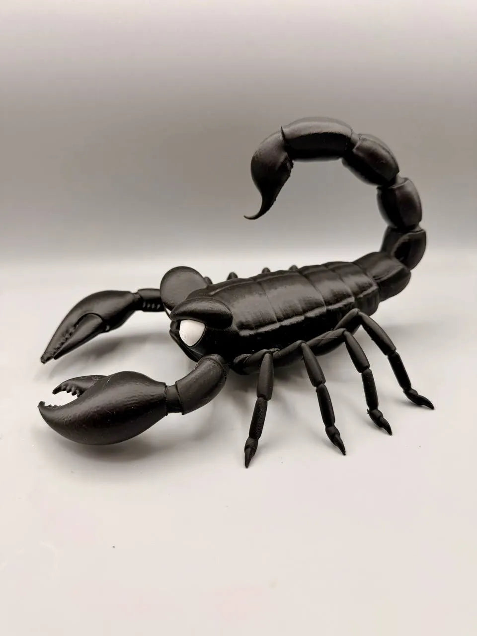 Grumpy Animals – Scorpion