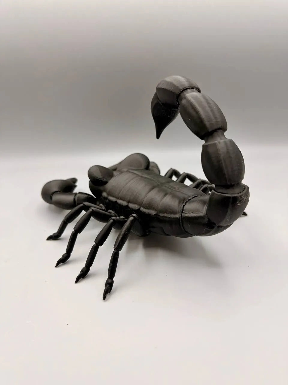 Grumpy Animals – Scorpion