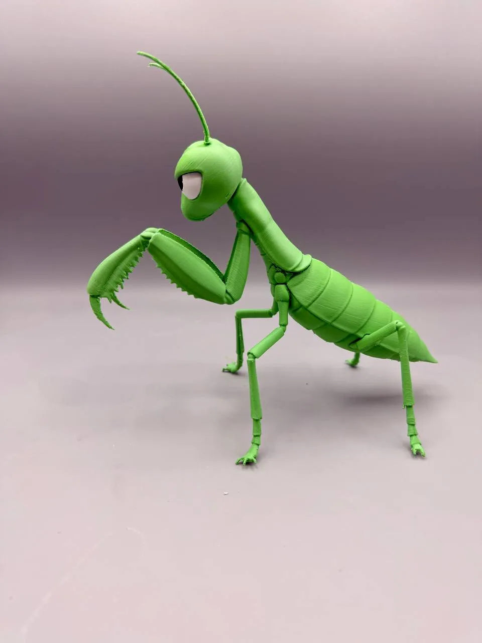 Grumpy Animals – Mantis