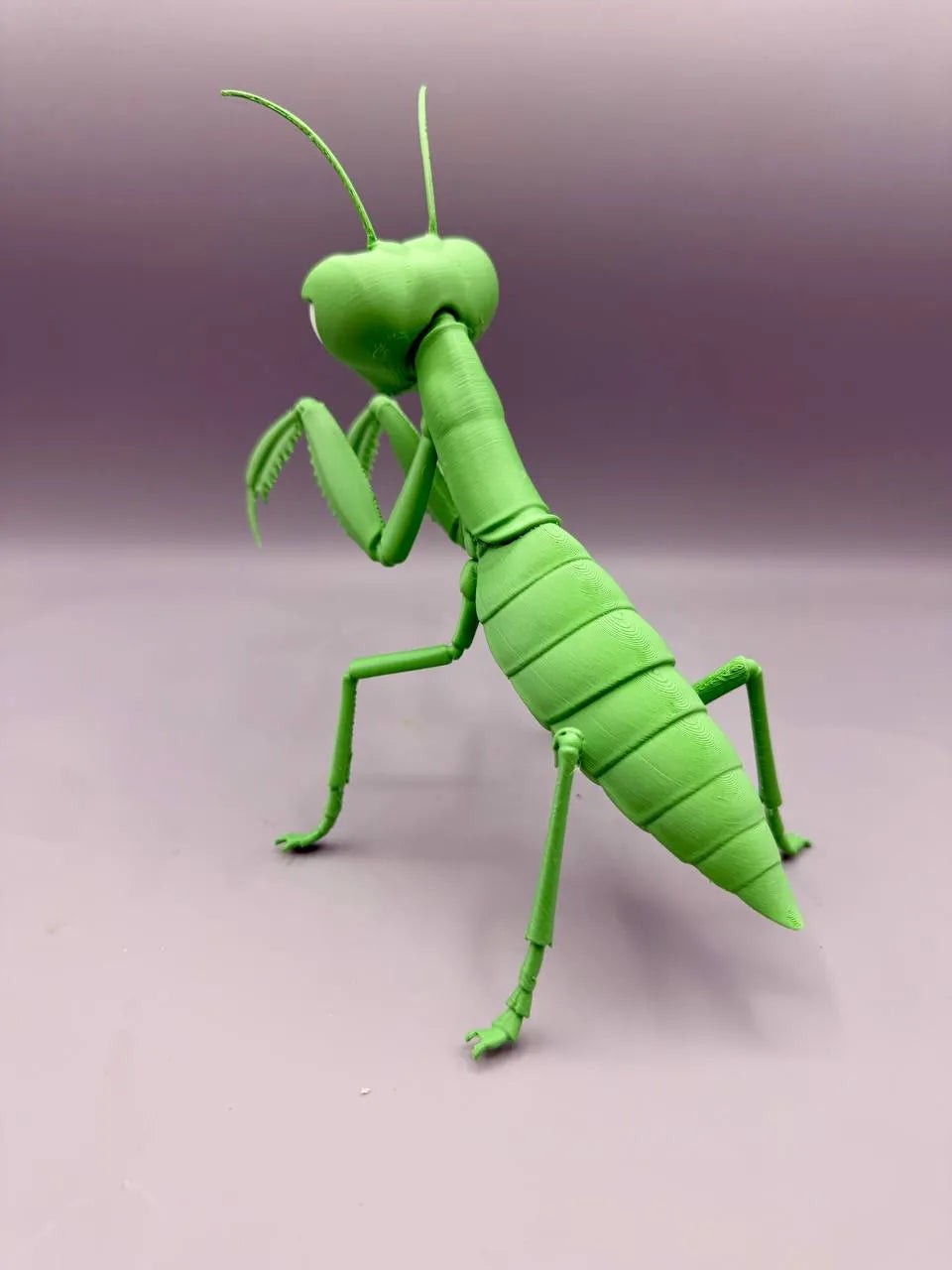 Grumpy Animals – Mantis