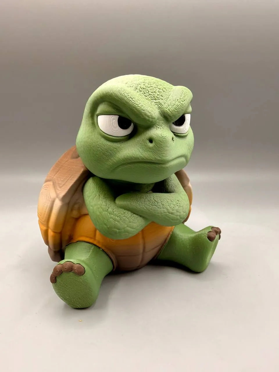Grumpy Animals – Turtle