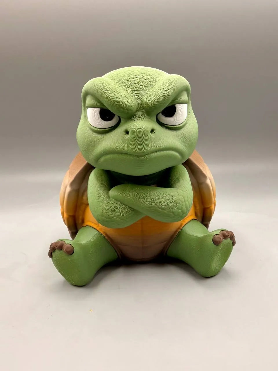Grumpy Animals – Turtle