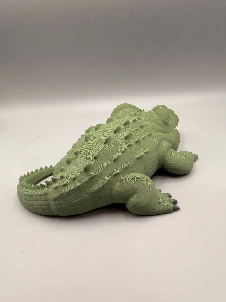 Grumpy Animals – Alligator