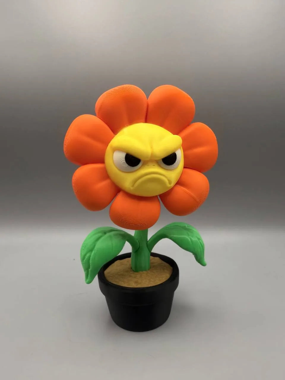 Grumpy Plants – Flower