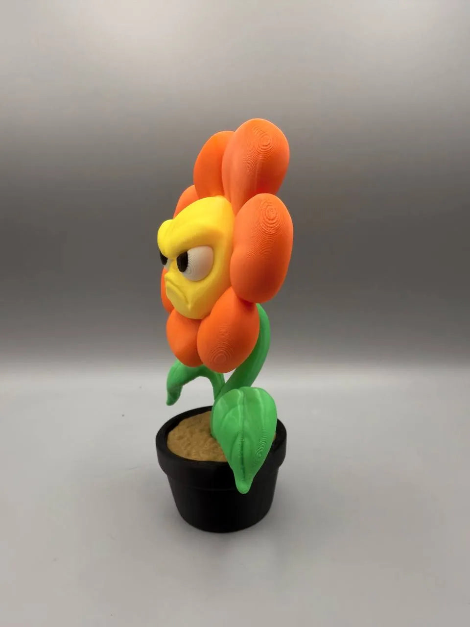 Grumpy Plants – Flower