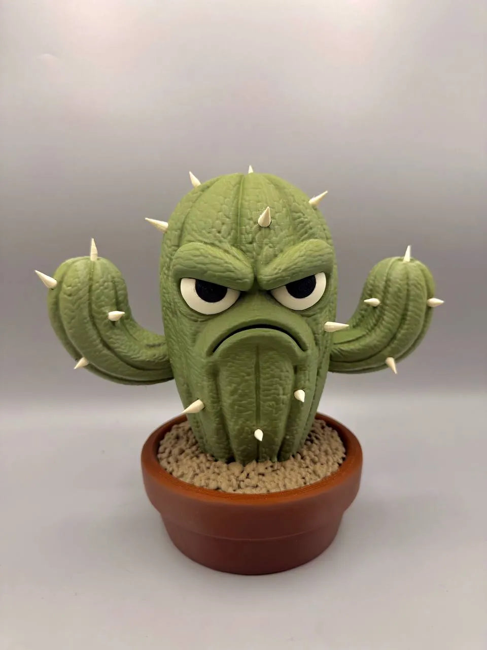 Grumpy Plants – Cactus