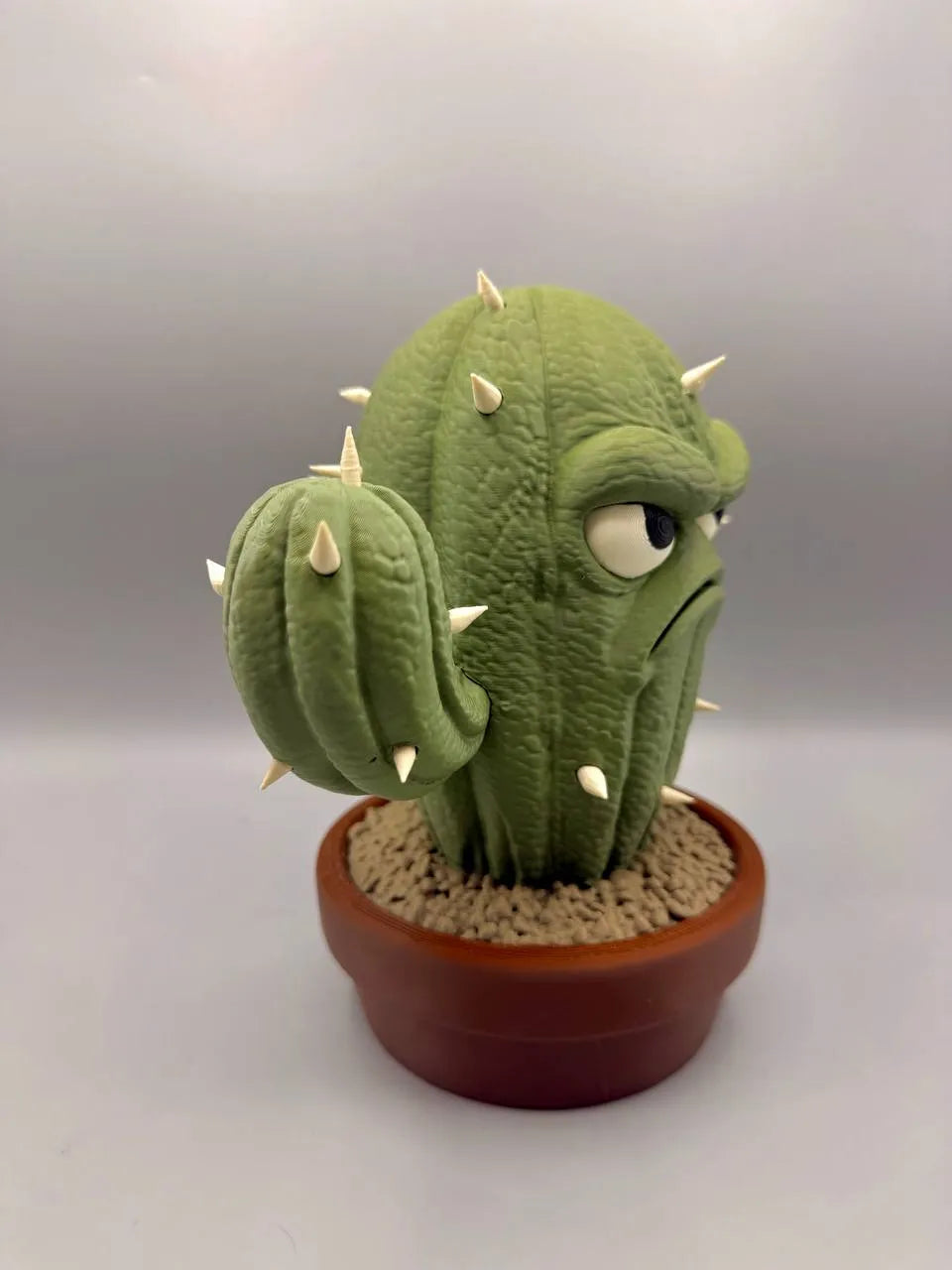Grumpy Plants – Cactus
