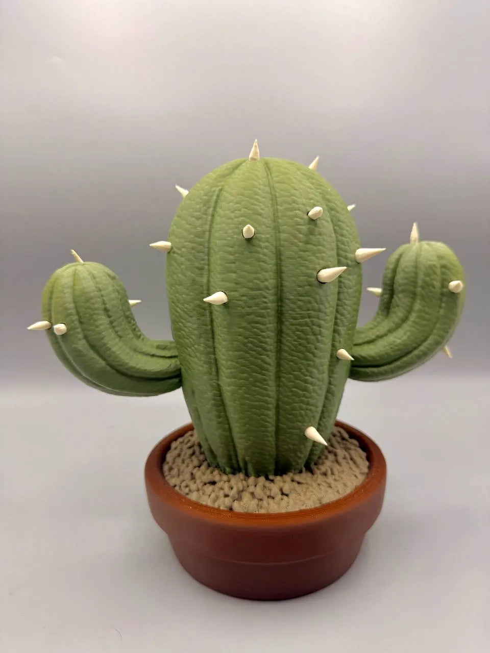 Grumpy Plants – Cactus