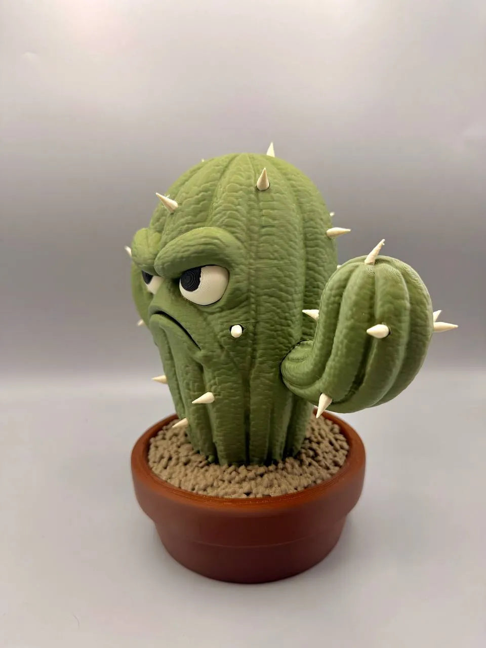 Grumpy Plants – Cactus