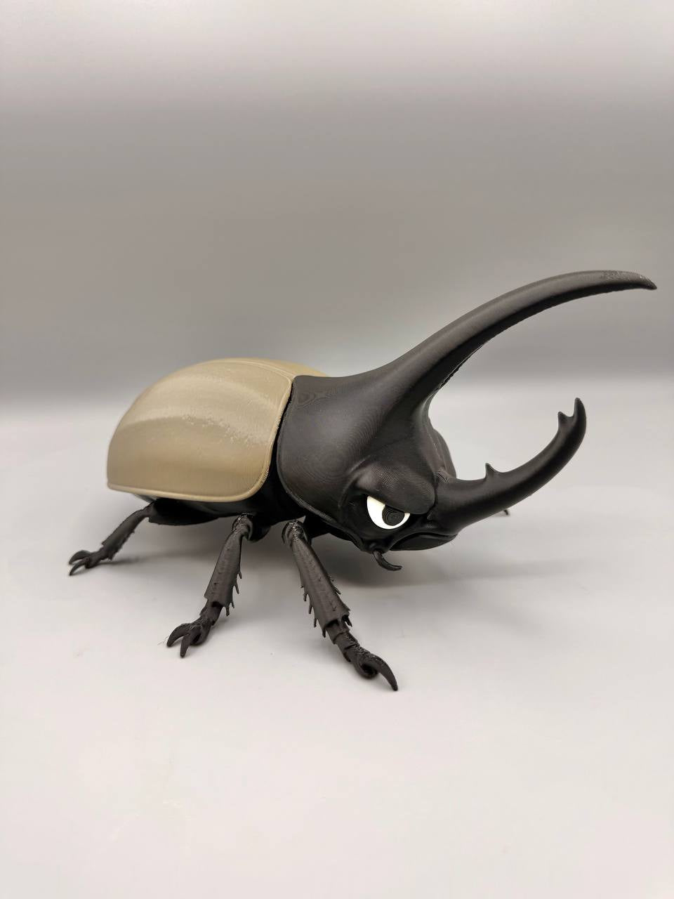 Grumpy Animals – Hercules Beetle