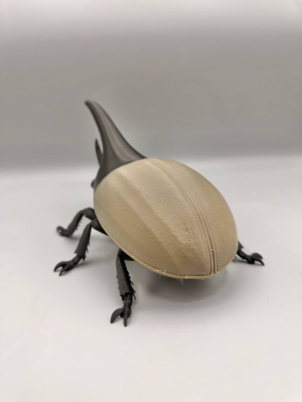 Grumpy Animals – Hercules Beetle
