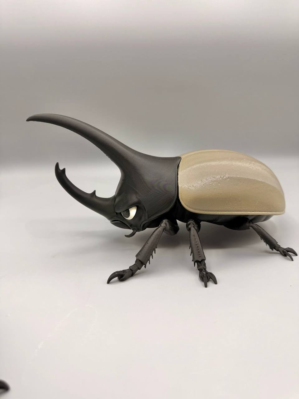 Grumpy Animals – Hercules Beetle