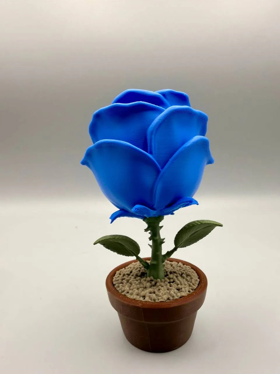 Loving Rose – Grumpy Plants Collection