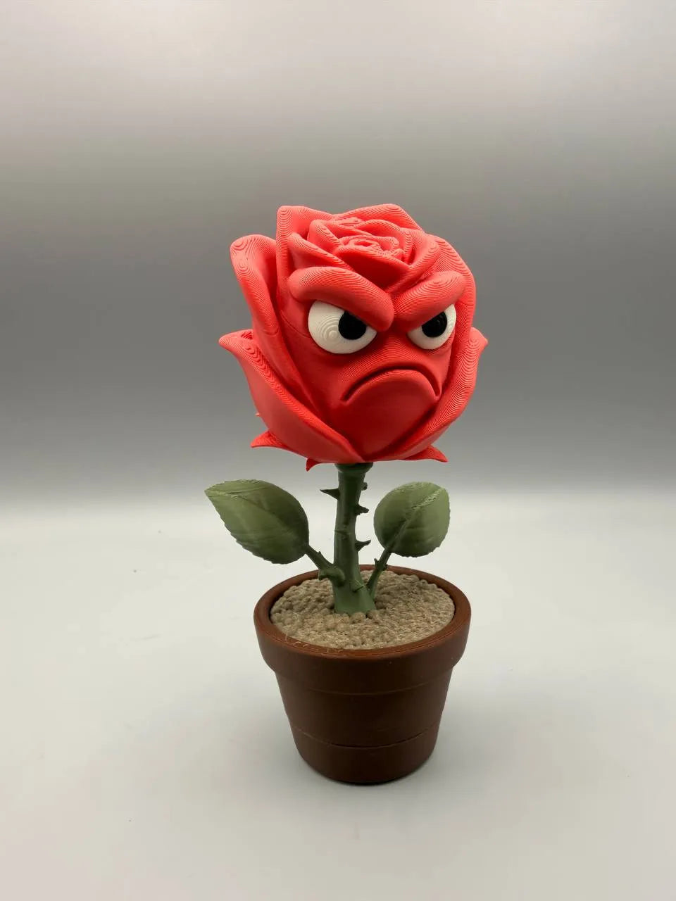 Grumpy Plants – Grumpy Rose