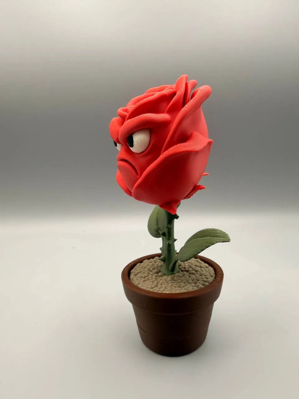 Grumpy Plants – Grumpy Rose
