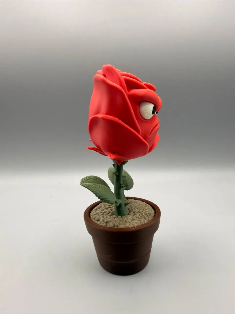 Grumpy Plants – Grumpy Rose
