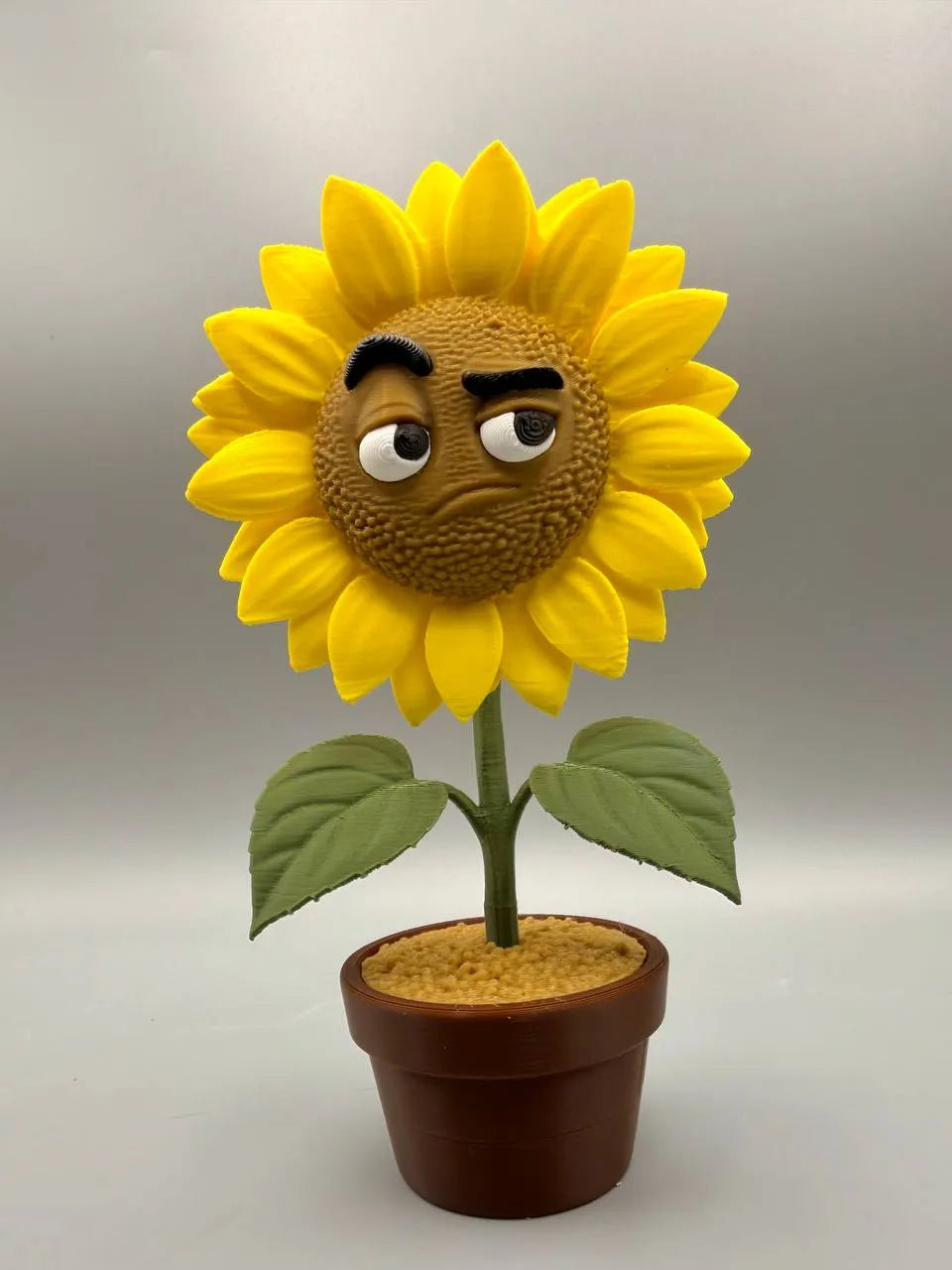 Grumpy Sunflower – Grumpy Plants Collection