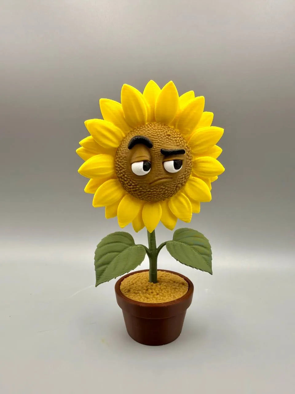 Grumpy Sunflower – Grumpy Plants Collection