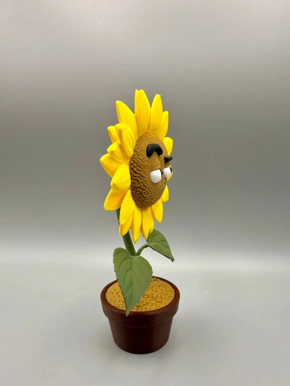 Grumpy Sunflower – Grumpy Plants Collection