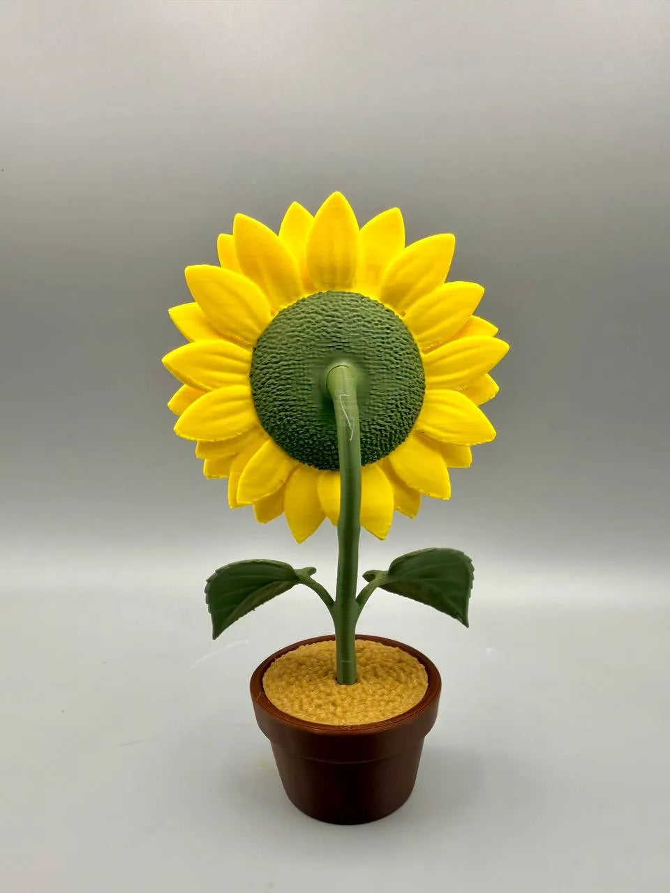 Grumpy Sunflower – Grumpy Plants Collection