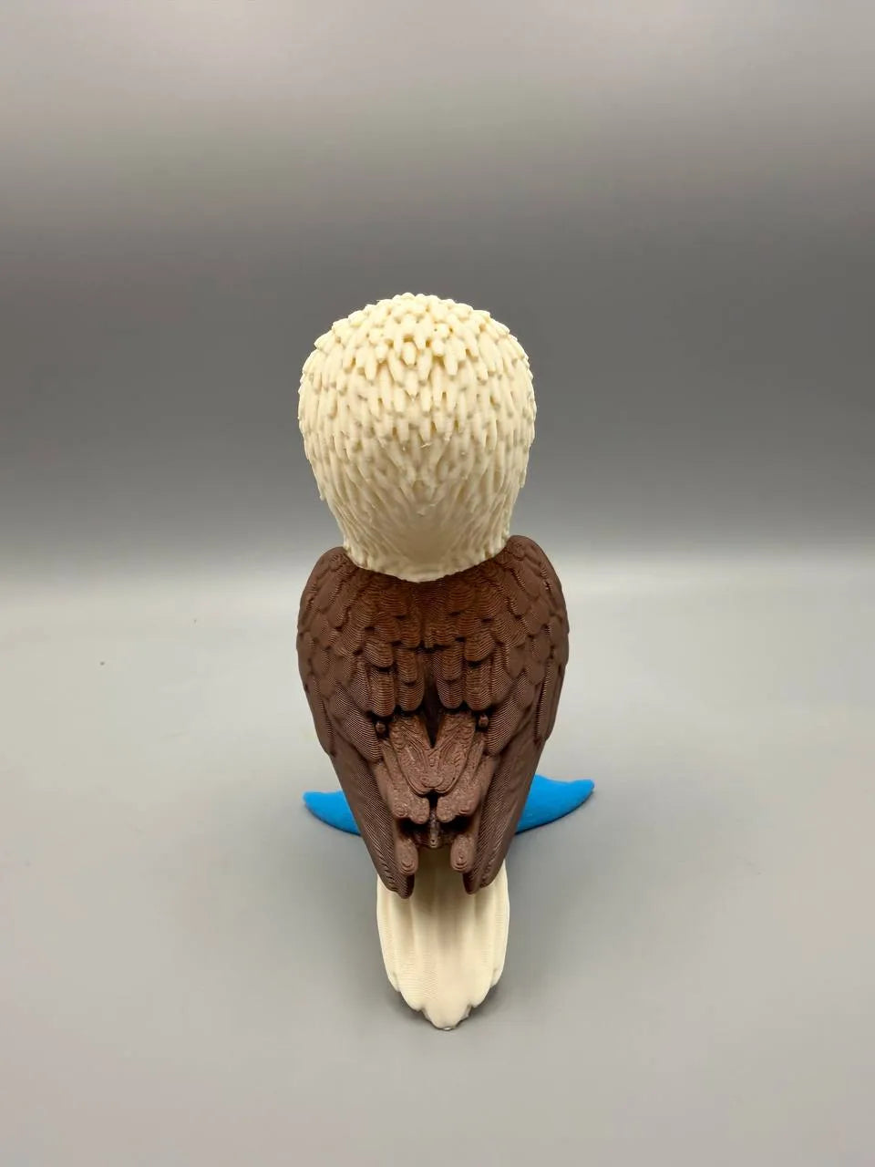 Grumpy Blue-Footed Booby – Grumpy Animals Collection