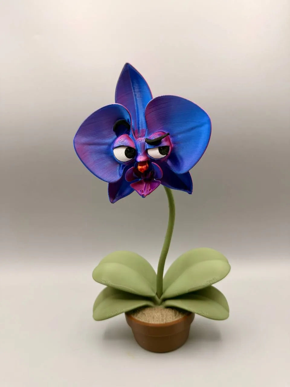Grumpy Orchid – Grumpy Plants Collection