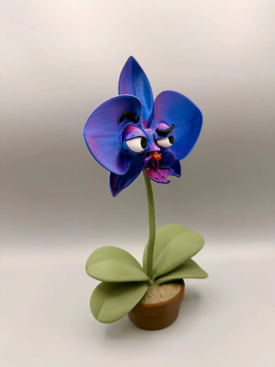 Grumpy Orchid – Grumpy Plants Collection