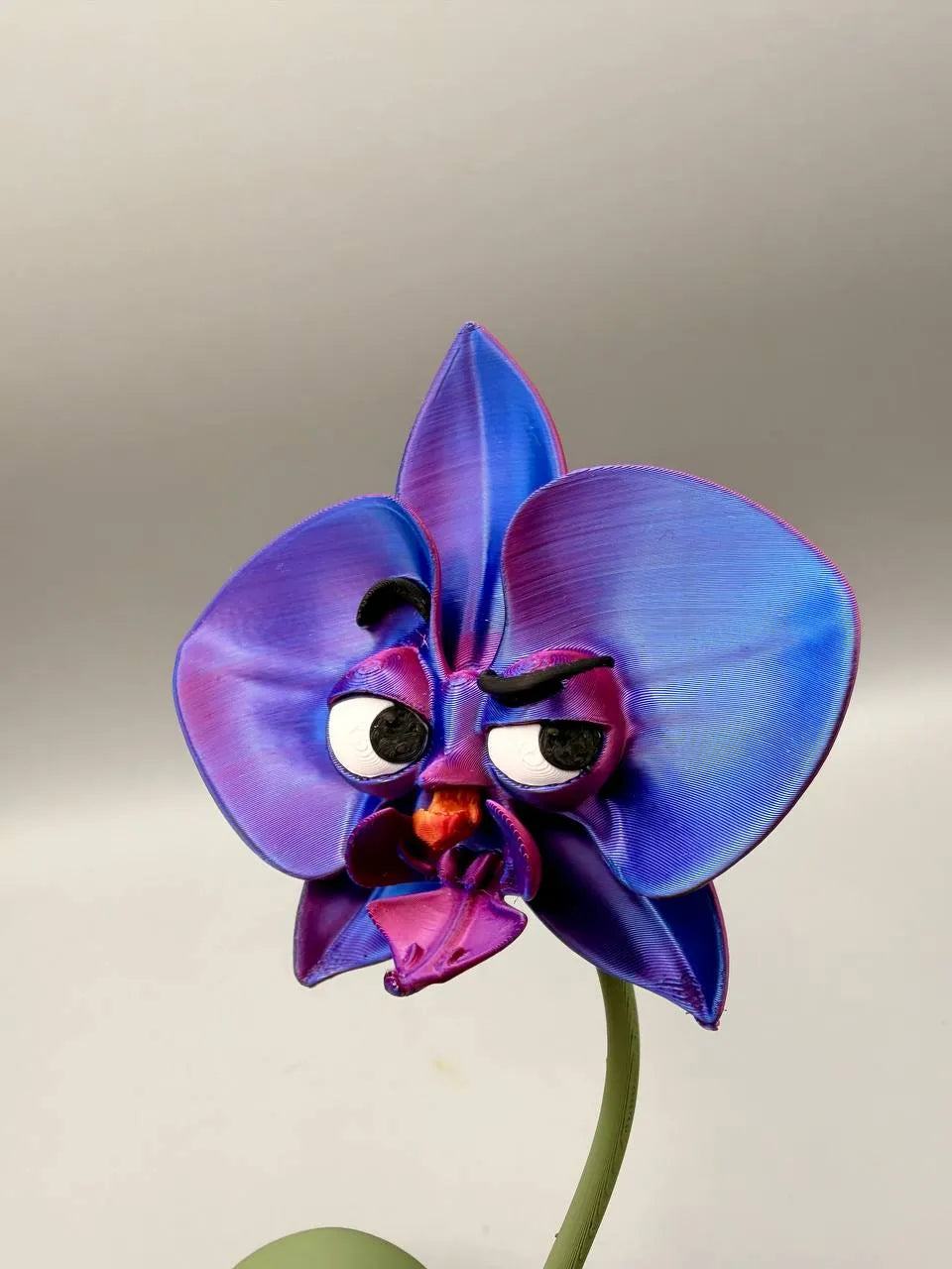 Grumpy Orchid – Grumpy Plants Collection